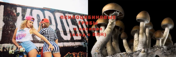 ГАЛЛЮЦИНОГЕННЫЕ ГРИБЫ Бородино