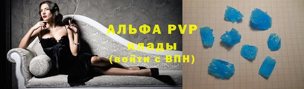 ГАЛЛЮЦИНОГЕННЫЕ ГРИБЫ Бородино