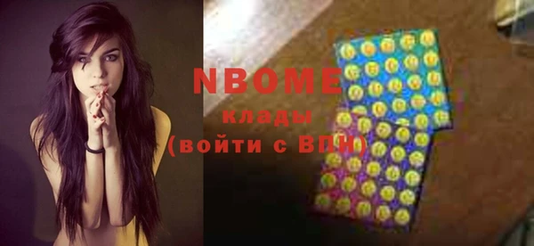 ГАЛЛЮЦИНОГЕННЫЕ ГРИБЫ Бородино