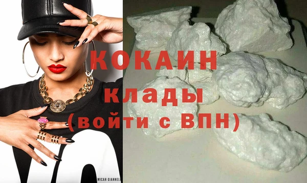 ГАЛЛЮЦИНОГЕННЫЕ ГРИБЫ Бородино
