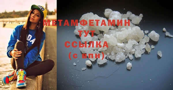 ГАЛЛЮЦИНОГЕННЫЕ ГРИБЫ Бородино